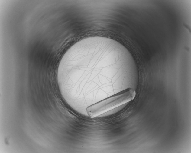 X0000103940558200810171817