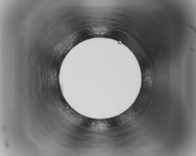 X0000103940559200810171817