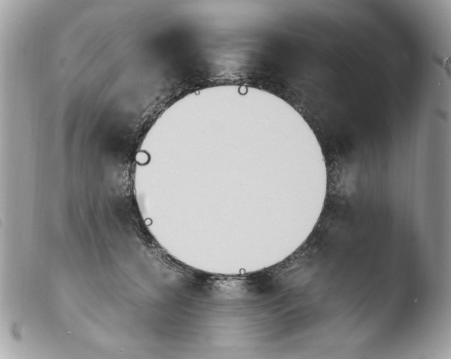 X0000103940560200810171817