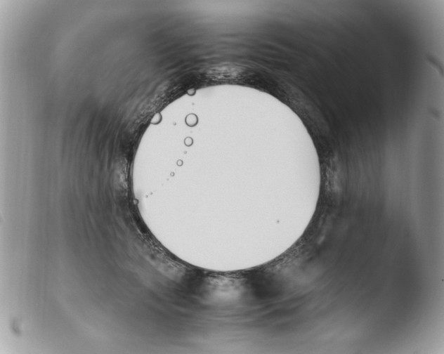 X0000103940561200810171817