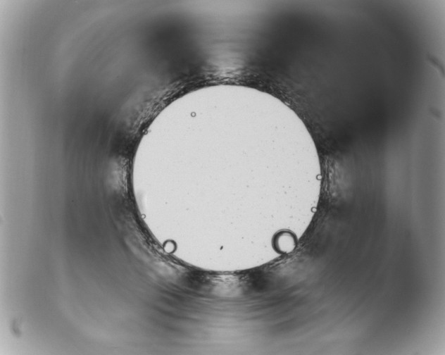 X0000103940562200810171817