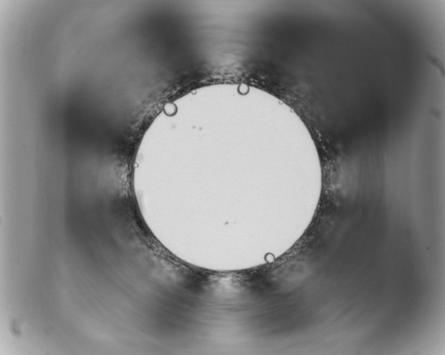 X0000103940564200810171817