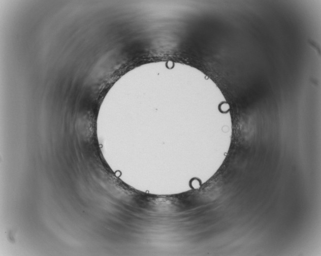 X0000103940566200810171817