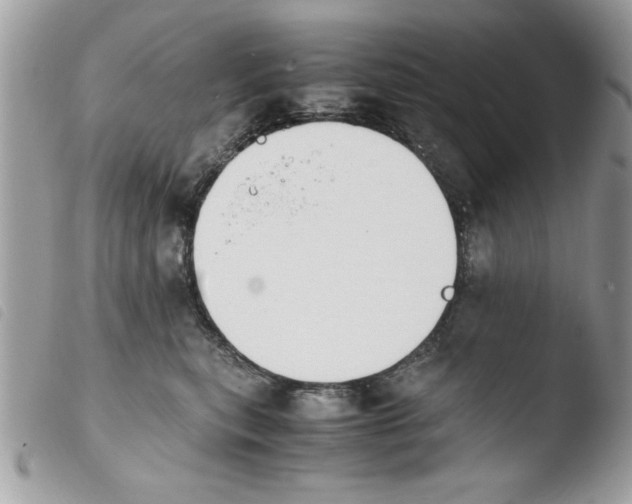 X0000103940567200810171817