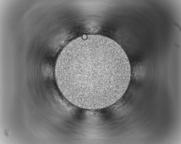 X0000103940568200810171817