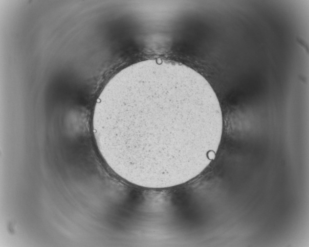 X0000103940570200810171817