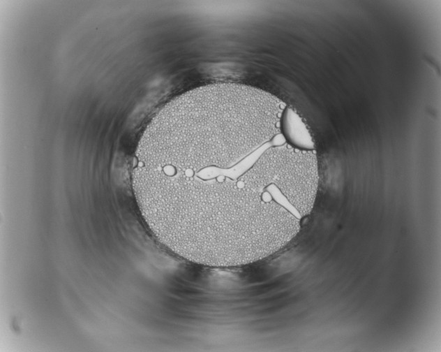 X0000103940573200810171818