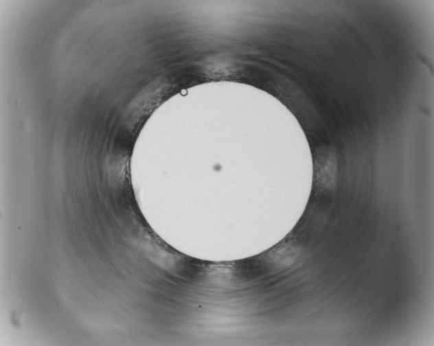 X0000103940574200810171818