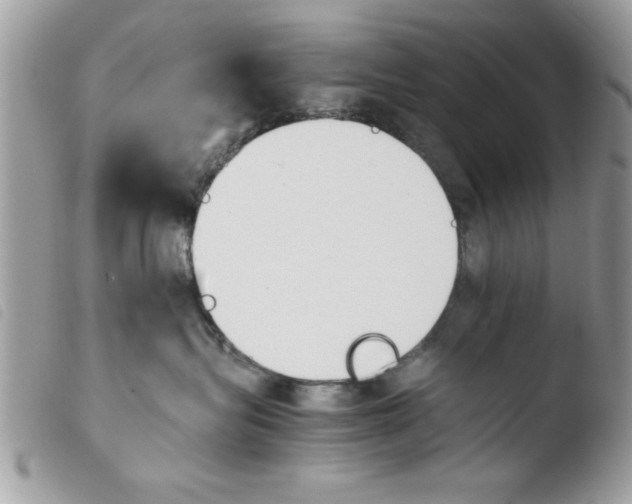 X0000103940575200810171818