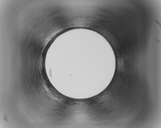 X0000103940580200810171817