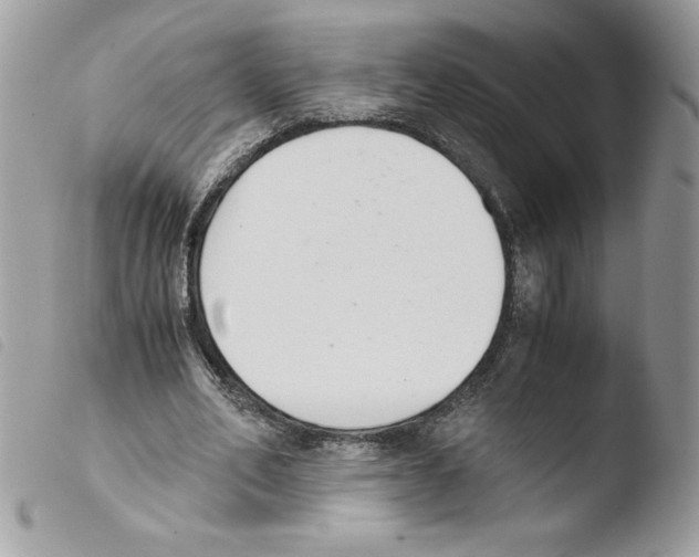 X0000103940582200810171817