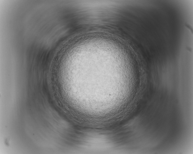 X0000103940583200810171817