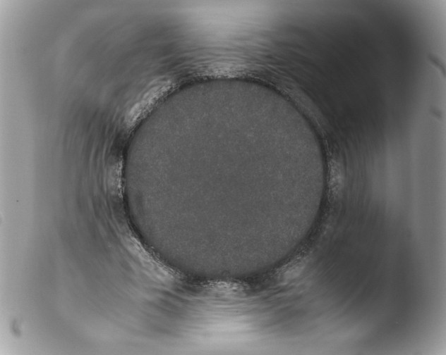 X0000103940585200810171817