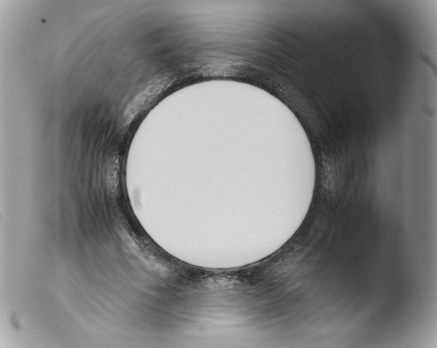 X0000103940586200810171817