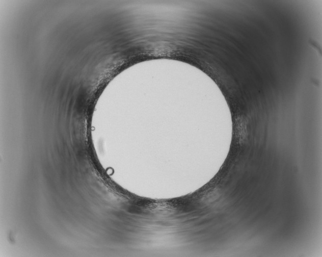 X0000103940589200810171817