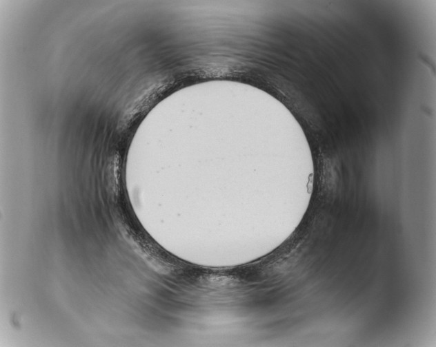 X0000103940590200810171817