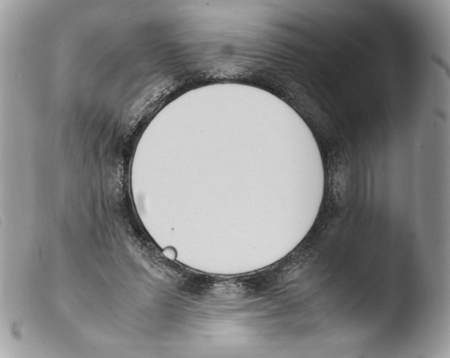 X0000103940591200810171817