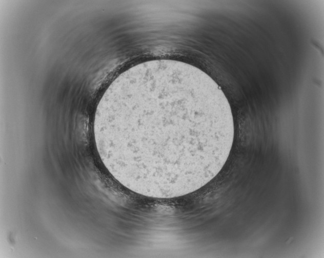 X0000103940592200810171817