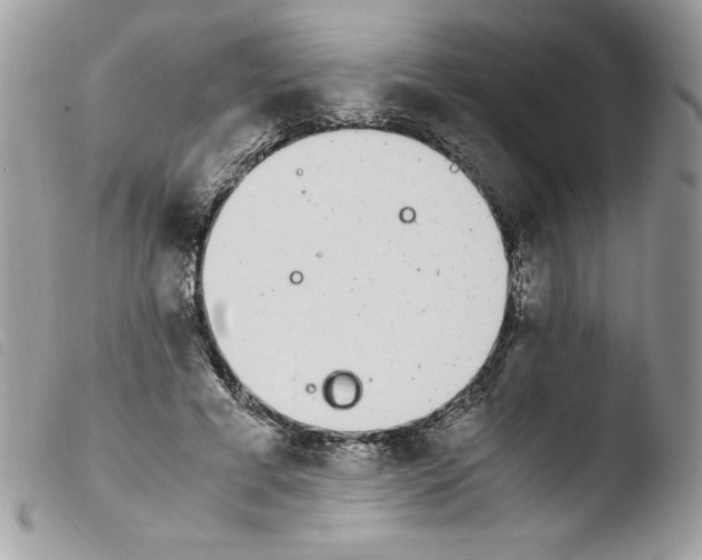 X0000103940593200810171817