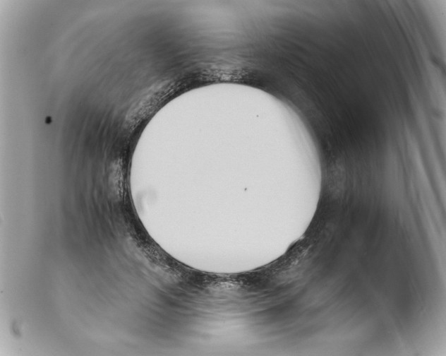 X0000103940594200810171817