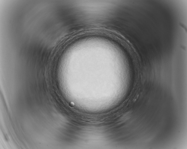 X0000103940595200810171817