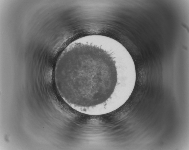 X0000103940596200810171817