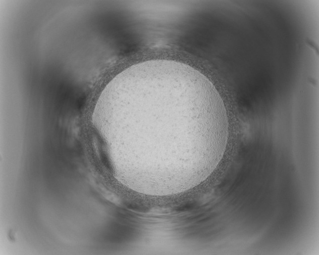 X0000103940597200810171817