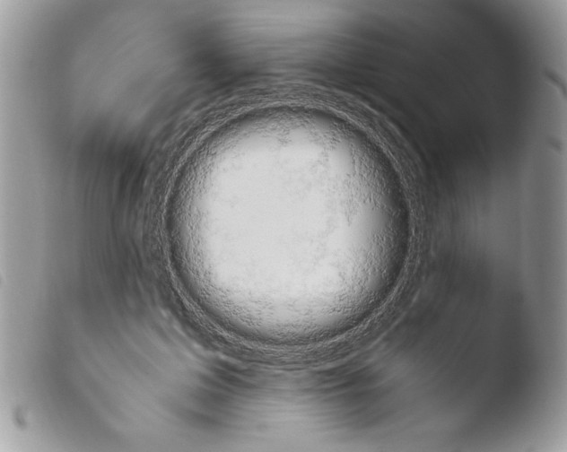 X0000103940599200810171817