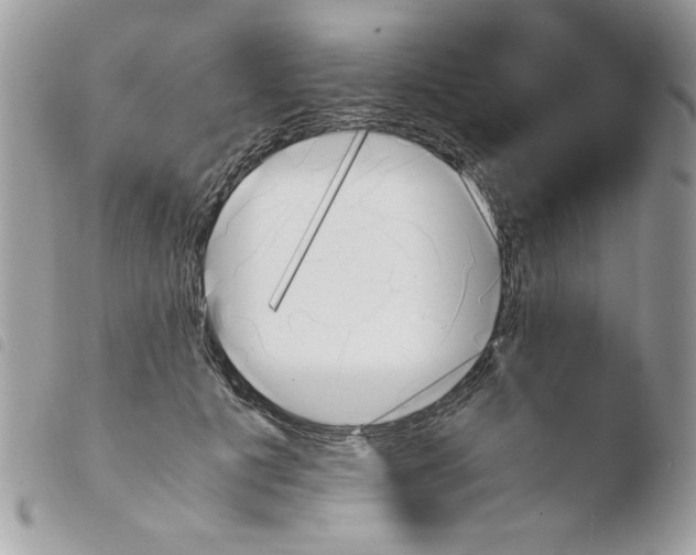 X0000103940601200810171817