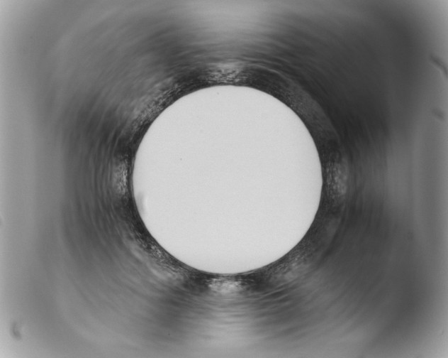 X0000103940602200810171817