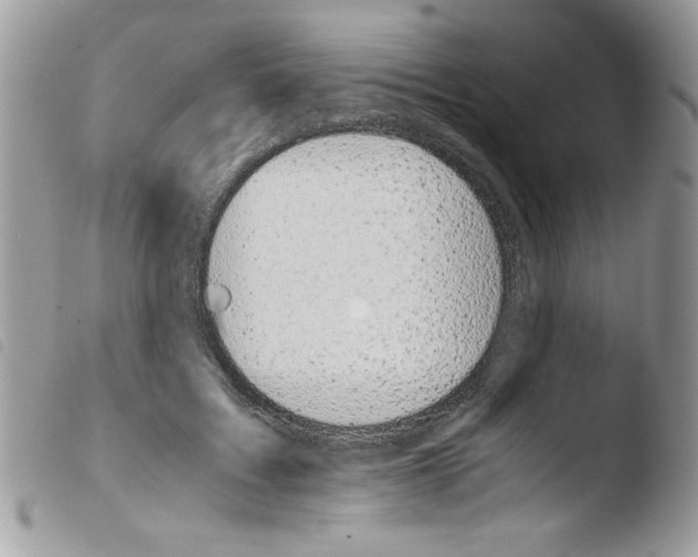 X0000103940603200810171817