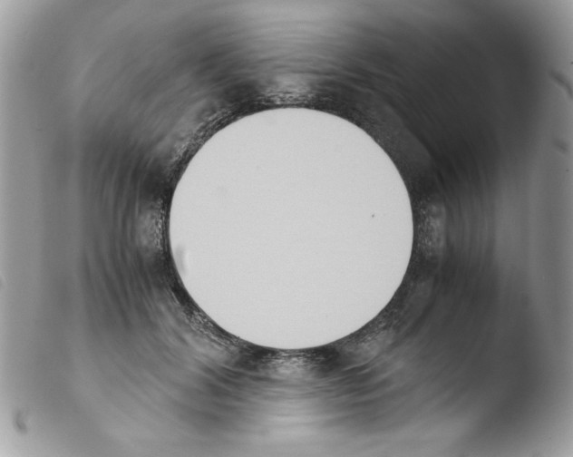 X0000103940604200810171817