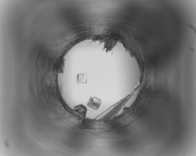 X0000103940605200810171816