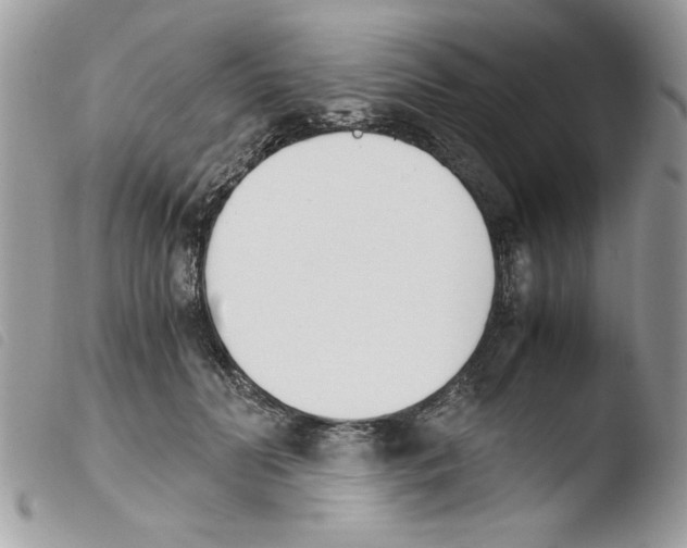 X0000103940606200810171816