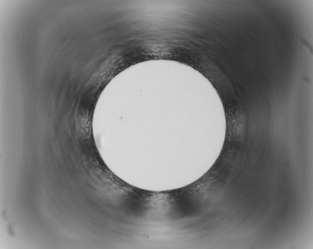 X0000103940609200810171816