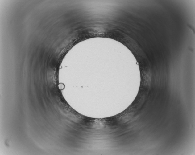 X0000103940612200810171816