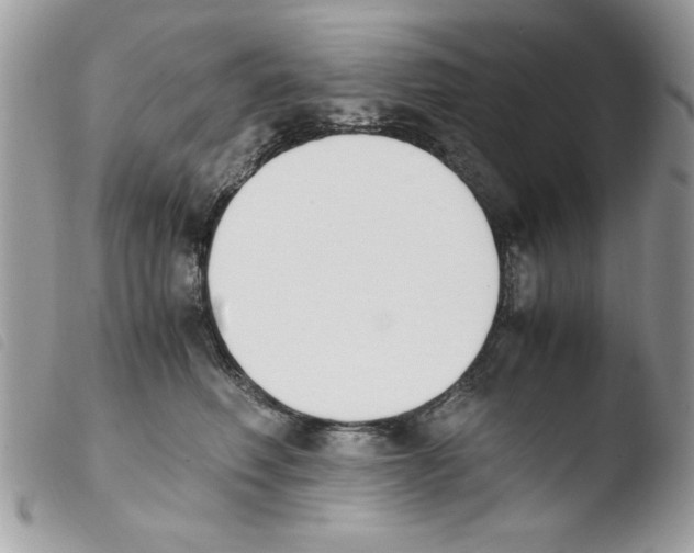 X0000103940614200810171816