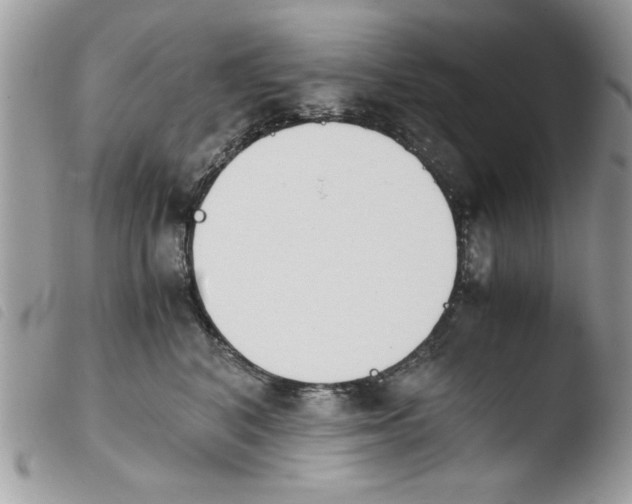 X0000103940616200810171816