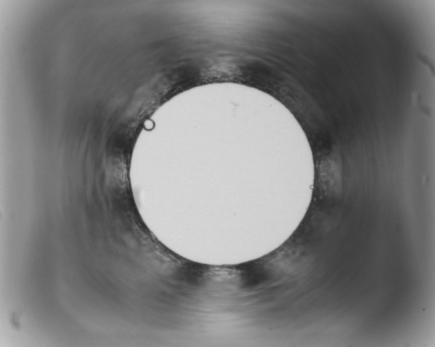 X0000103940617200810171816