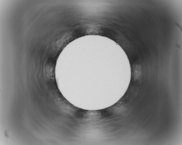 X0000103940619200810171816