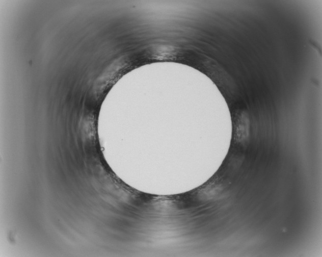 X0000103940620200810171816