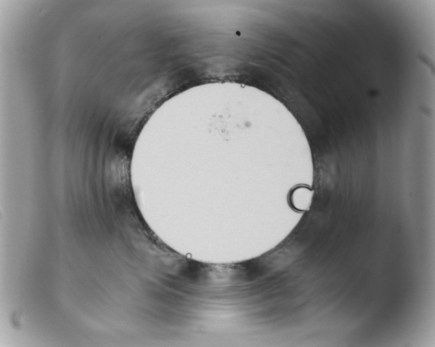 X0000103940623200810171816