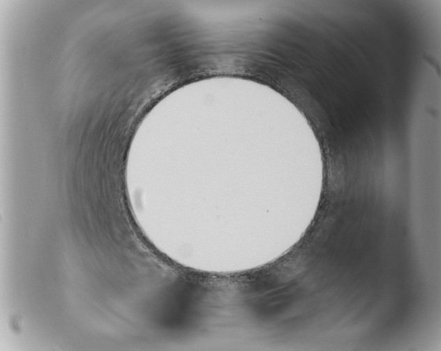 X0000103940625200810171816