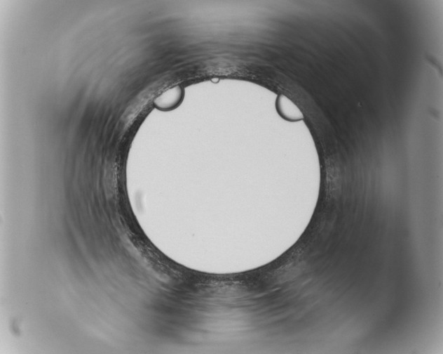 X0000103940626200810171816