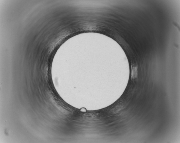 X0000103940627200810171816