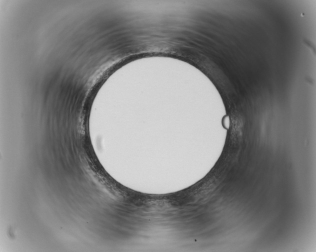 X0000103940628200810171816