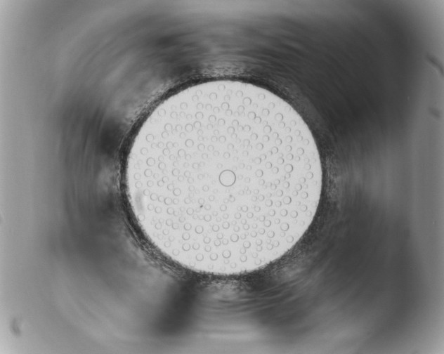 X0000103940631200810171816