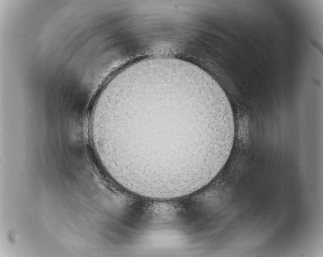 X0000103940632200810171816