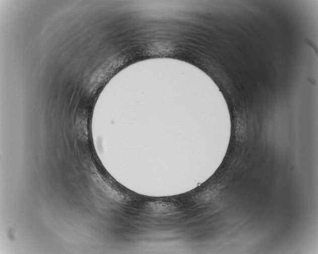 X0000103940633200810171816