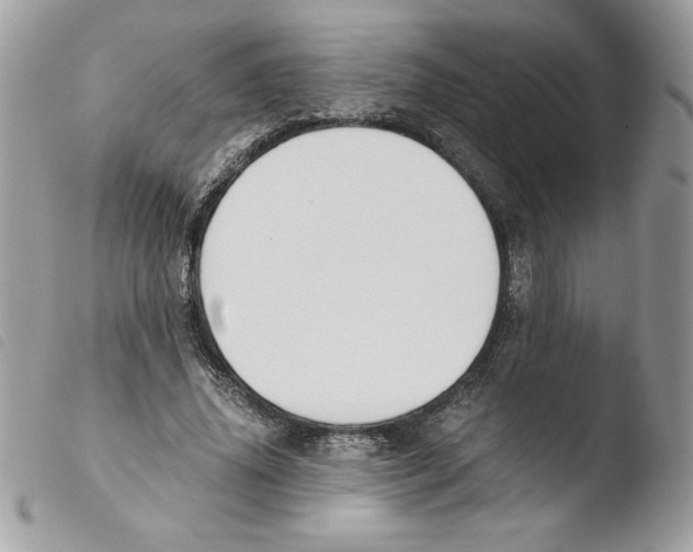 X0000103940636200810171816